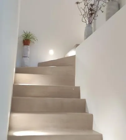 Asylum Amicorum Bed & Breakfast